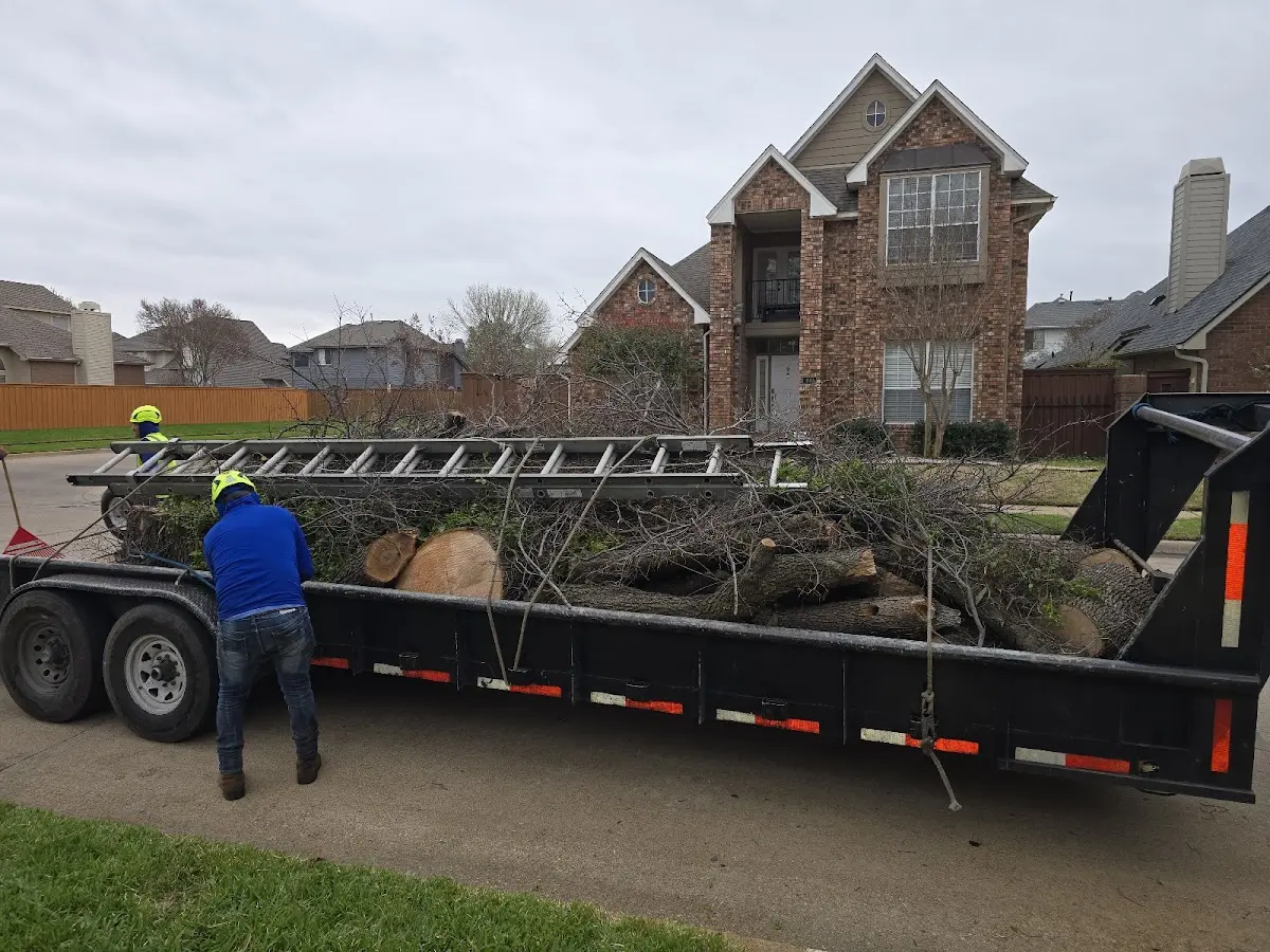 Expert Crown Reduction with proper safety equipment in Hallsville